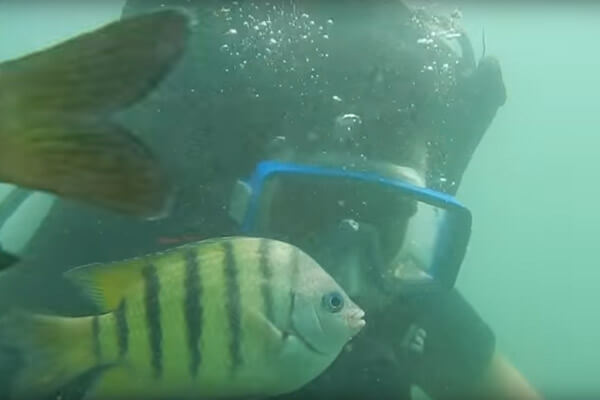 Tarkarli Hotels | Tarkarli Scuba Diving | Tarkarli Resorts | Tarkarli Home Stays | Tarkarli Beach Resort | Tarkarli Tourism