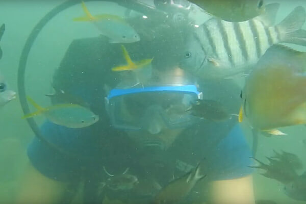 Tarkarli Hotels | Tarkarli Scuba Diving | Tarkarli Resorts | Tarkarli Home Stays | Tarkarli Beach Resort | Tarkarli Tourism