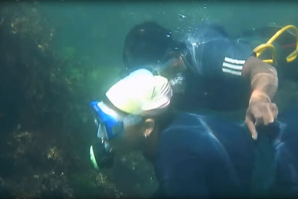 Tarkarli Hotels | Tarkarli Scuba Diving | Tarkarli Resorts | Tarkarli Home Stays | Tarkarli Beach Resort | Tarkarli Tourism