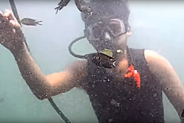 Tarkarli Hotels | Tarkarli Scuba Diving | Tarkarli Resorts | Tarkarli Home Stays | Tarkarli Beach Resort | Tarkarli Tourism